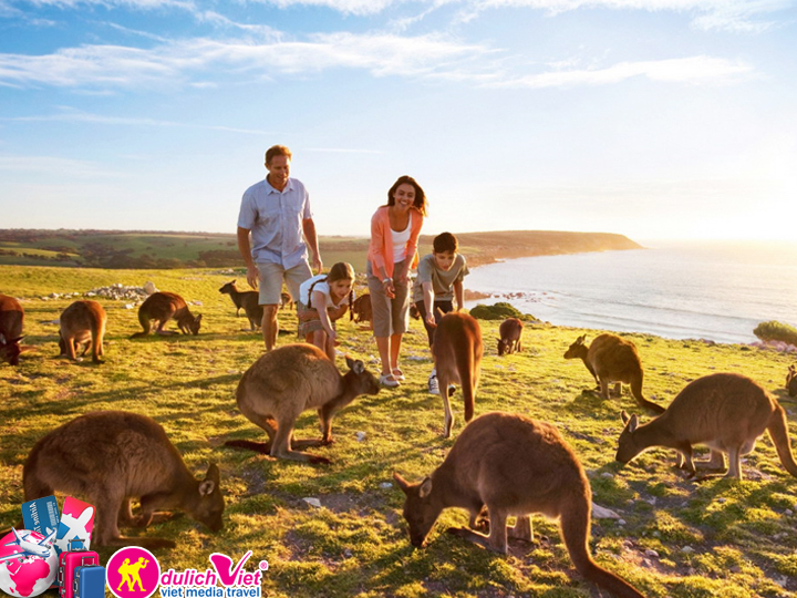 Du lịch Úc Sydney - Melbourne mùa thu khởi hành từ Tp.HCM giá tốt 2025